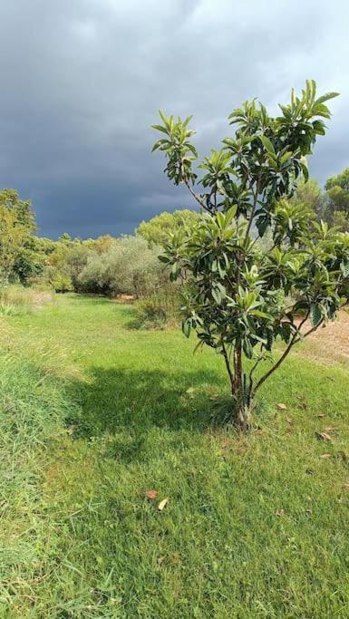Le Bastidon, Aix En Pce Proche Centre, Climatise, 4 Villa